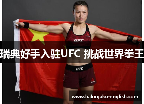 瑞典好手入驻UFC 挑战世界拳王